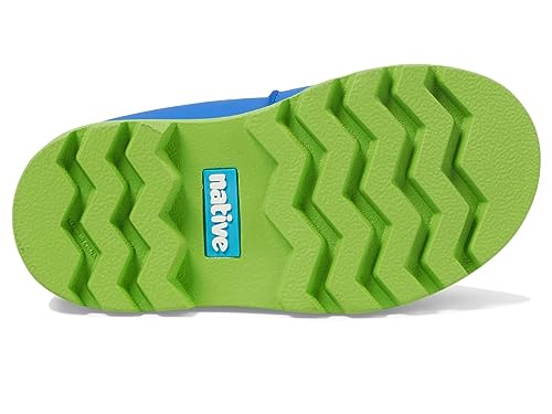 Native Shoes Kensington Treklite Bloom (Toddler)3