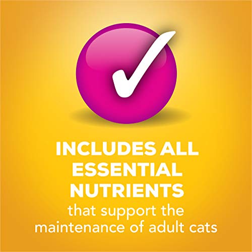 Purina Friskies Gravy Wet Cat Food Variety Pack, Tasty Treasures Prime Filets - (2 Packs Of 12) 5.5 Oz. Cans #TOP7