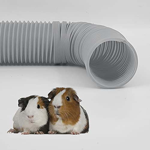 2 Pieces Pet Fun Tunnel Small Animal Play Tunnel Collapsible Plastic Tube Pet Hideaway Fun Toys For Hiding Training Fit Guinea Pigs Hamsters Chinchillas Rats Ferrets Dwarf Rabbits Green Black Wishope #TOP6