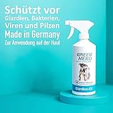 Green Hero