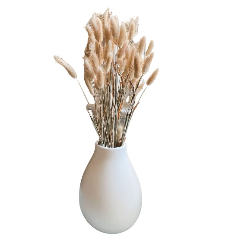 Arte Casa Imported Bunny Tails Brown - Naturally Dried Stems, Perfect for Rustic Home Decor (Set of 30) (Pack of 1) (B0C4BBNC6H) Amazon Price History, Amazon Price Tracker