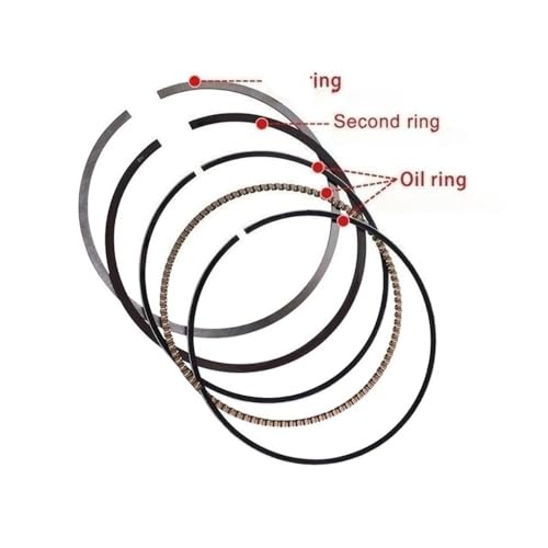 Segments Piston Moto 67mm : Solution Perte de Compression pour Cylindre Alésé Modifié 300 EX300
