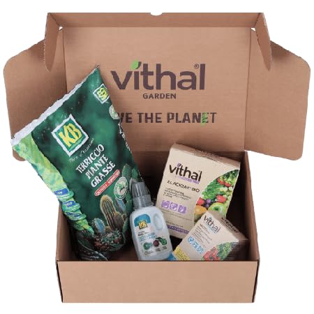 Kit Piante Grasse - Terriccio, 2 Integratori e Concime Tutto il Necessario per Prenderti Cura delle tue Piante Grasse