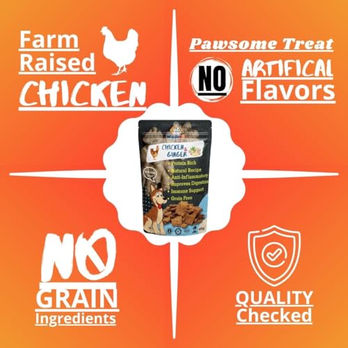 Image of Chicken & Ginger Treat for Dog | Mega Pack | Protein Rich | Anti-Inflammatory | Crunchy Healthy Snacks | (45Grm)