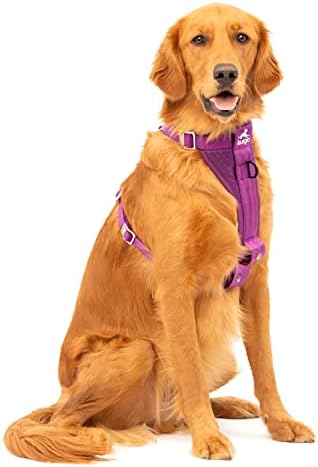 Kurgo Enhanced Strength Tru-Fit Dog Car Harness, Crash Tested, Steel Nesting Buckles, Includes Seatbelt Tether, Medium-Black