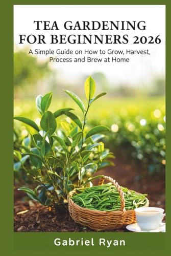 tea gardening for beginners 2026: a simple guide on how to grow,harvest, process and brew at home