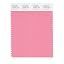 Flamingo Pink