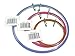 Frank A. Edmunds Set of 3 Assortment, 3-inch, 5.5-inch and 7-inch Spring Tension Embroidery Hoops, CNSTH-A3557