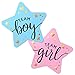 WILLA FLARE 2.25" Gender Reveal Stickers for Party Invitations and Voting Games (80 Count) - Team Boy and Team Girl Labels with Gold Foil for Reveal Parties and Baby Showers | Easy to Peel and Stick