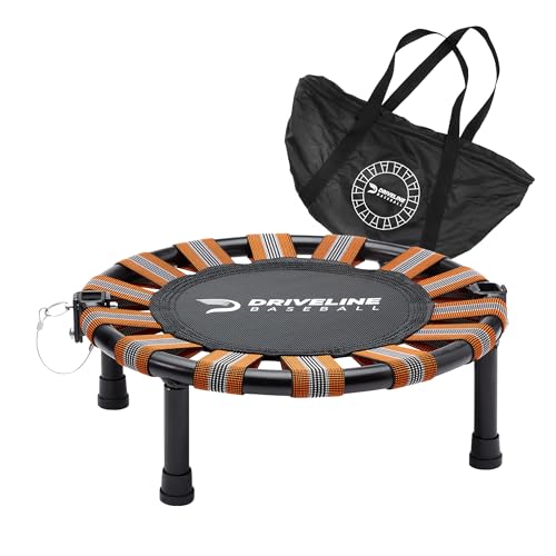 Driveline Baseball Shoulder Recovery Mini Trampoline (18-Inch) Portable with Carrying Case