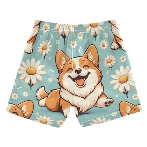 susiyo Boys Swim Trunks Corgi Dogs Daisies Toddler Swim Shorts Quick Dry Beach Board Shorts Little Boy Bathing Suits Swimwear2