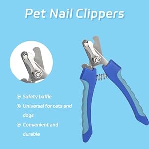 6piece Set of Pet Grooming Scissors and Nail Clippers  Professional Dog and Cat Nail Clipper Set Equipped with Grooming Scissors and Nail Clippers  Suitable for Pet Dogs and Cats  Cucciolini Doodles 6 piece set of pet grooming scissors and nail clippers  professional dog and cat nail clipper set equipped with grooming scissors and nail clippers  suitable for pet dogs and cats   cucciolini doodles