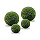 LuckyOpt 4Pcs grüne Live algenkugeln, natürliche algenkugeln, Aquarium dekoriert mit grünen algenkugeln, Aquarium dekoriert mit lebendigen algenkugeln, 2 Größen (Grün)