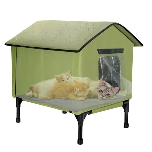 Large Insulated Outdoor Cat House