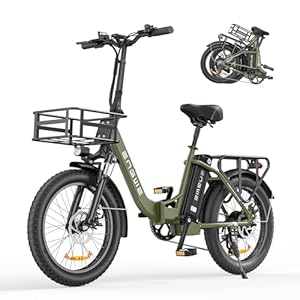 Engwe L20 SE opvouwbare elektrische fiets, 20 inch x 3,0 Fat Tire elektrische fiets voor volwassenen, 250 W Doorstap E-bike, 20 inch opvouwbare elektrische fiets, 36V 15,6Ah-batterij (Groente)