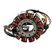 Replace 4010709 YINNCKE Magneto Ignition Stator Fits for Polaris Sportsman 600 700 2002 2003 2004 2005 4011103 4060150 2202602 2202603