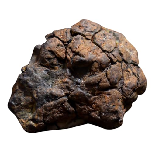 iplusmile 3 Piezas meteorito de oliva auténticas joyas de meteoritos colgante de meteorito meteoritos aerolitos colegio edulacta decoración espécimen de meteorito modelo de meteorito fósil iplusmile 3 Piezas meteorito de oliva auténticas joyas de meteoritos colgante de meteorito meteoritos aerolitos colegio edulacta decoración espécimen de meteorito modelo de meteorito fósil