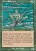 Magic: the Gathering - Fierce Empath - Scourge