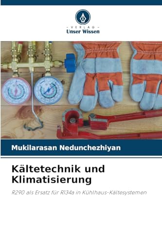 Preisvergleich Produktbild Kältetechnik und Klimatisierung: R290 als Ersatz für R134a in Kühlhaus-Kältesystemen