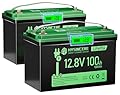 12V 100Ah LiFePO4 Battery BCI Group 31 Lithium Battery, Deep Cycle Battery with 100A BMS, 1280Wh Energy, Up to 15000 Cycles & 10-Year Lifespan for Trailer RV, Marine, Home Energy System-2 Packs