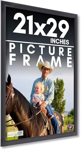 Amazon.com - 21x29 Frame Black Picture Frame - Complete Modern Photo ...