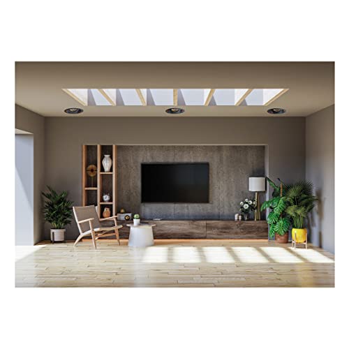 Enceinte encastrable Focal 300 ICA6 Vendue à 'unitè - vue 4