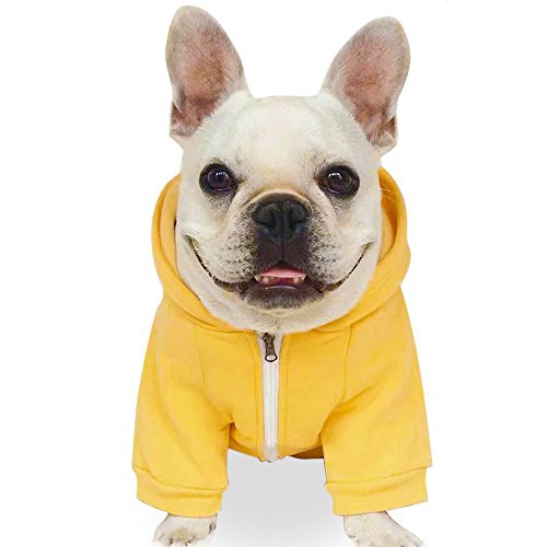 Best Dog Sweatshirts