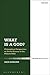 What is a God?: Philosophical Perspectives on Divine Essence in the Hebrew Bible