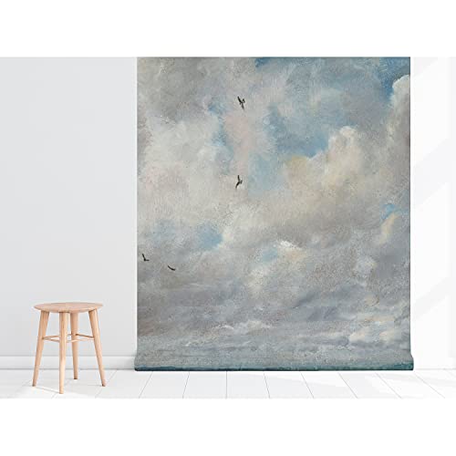 Papier peint grand format ciel nuageux pour masquer les murs ternes
