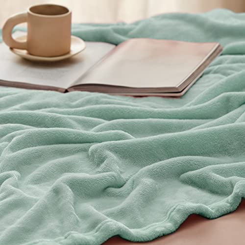 Bedsure Sage Green Fleece Blanket Queen Blanket Jadeite - 280Gsm Soft Lightweight Plush Cozy Blankets For Bed, Sofa, Couch, Travel, Camping #TOP3