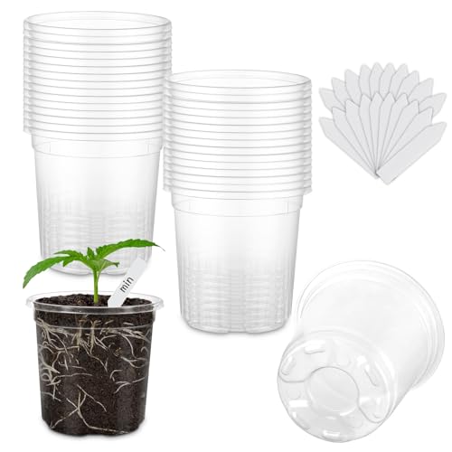 WandaQueen 30 Packs 3.5 Inch Reinforced Clear Nursery Pots for Plants with Drainage Holes, High Transparency Planting Plastic Seedling Pots, Seedling Planter Seed Starter with 20 Plant Labels