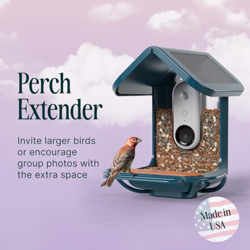 image for Birdbuddy Blue Perch Extender – Add-On Accessory for Better Watching