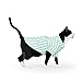 Youly Green Stripe Shirt for Cats, Small/Medium