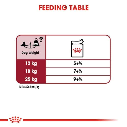 Royal Canin Medium Ageing | 10 x 140 g | Alleinfuttermittel für mittelgroße ältere Hunde | Stückchen in Soße