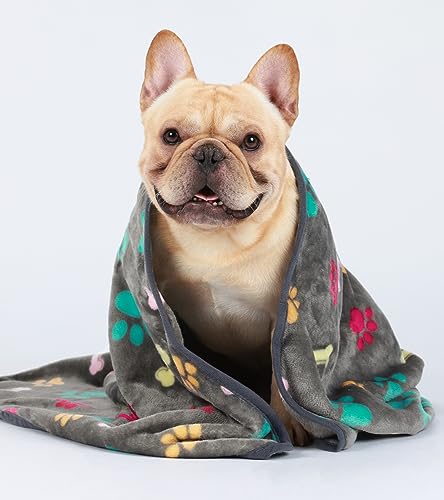 Couverture pour chien douce grand plaid chat molleton Luciphia gris