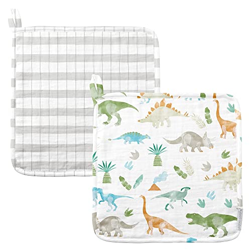 Image of Stephen Joseph, Baby and Toddler Washcloths, Muslin Washcloth, 10 inchx10 inch inches - Dino Set of 2