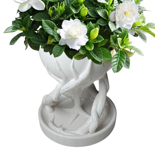 Pots de fleurs extérieurs résistants aux intempéries pour décoration