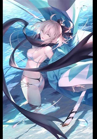 Amazon.co.jp: FGO Fan Art Collection vol.3 長尾景虎クリア