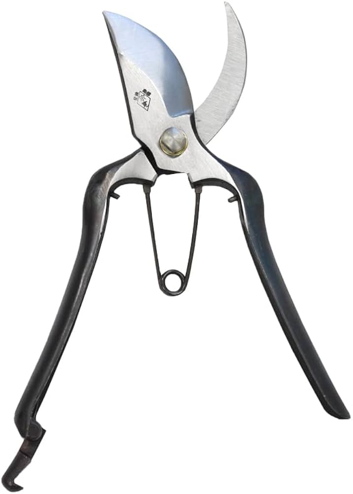 Amazon | 阿武隈川宗寛 剪定鋏 B型 金止 220mm 箱入 107 | 園芸用はさみ