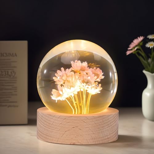 Image of Daisy Lamp,2.4-Inch Flower Crystal Ball Night Light, Real Daisies Inside with Wood Base, Warm Bedroom Glow (Daisy)