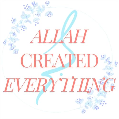 Morning Meditation: Allah created everything