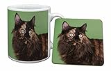 schildpatt katze kaufen österreich Made in the UK Advanta - Mug Coaster Set Schildpatt Maine Coon Katze Becher und Untersetzer Tier Gesch