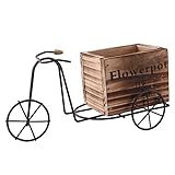 Ghulumn Macetero de diseño de triciclo de hierro forjado, regalos