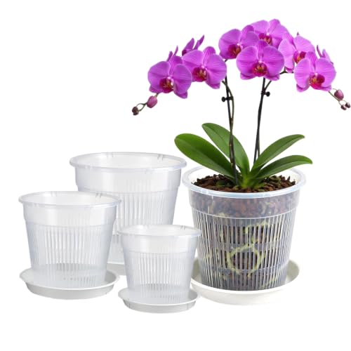 SCBOY Juego de 8 plástico Transparentes de Maceta orquidea con Drenaje y Bandeja macetas para orquídeas Apto para plántulas de orquídeas suculentas y Plantas similares (11/14/16/19 cm)