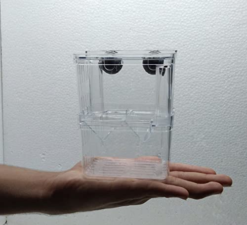 Image of Sansefero Betta Tank (Breeding Box)