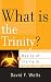 What Is the Trinity? (Basics of the Faith)