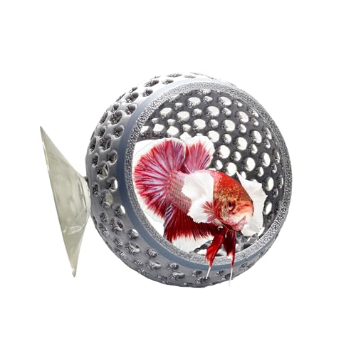 Image of CTWPets Natural Betta Bulb Hide | Betta Rest Fish Tank Ornament | Aquarium Cave with Suction Cup for Small Fish Tank, Betta Habitat, Shrimp Hideout, Aquatic Decor (Silver)