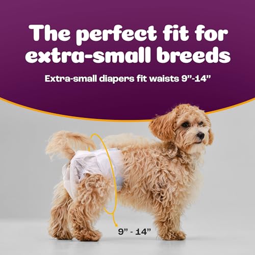 Image of Inspire Pet Care Dog Diapers Female Dogs | Bulk Value Doggie Incontinence, Accidents, for Heat, Pee or Period and Housebreaking (X-Small (50 Count))