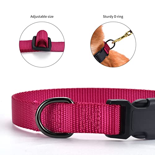 AUDWUD Thick Nylon Collar,Classic Adjustable Dog Collar in Multiple Colors,Suitable for Small,Medium and Large Dogs,4 Sizes - Image 3