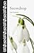 Snowdrop (Botanical)